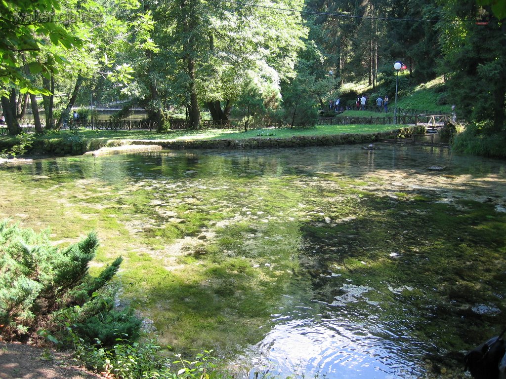 Sa2006 016 Vrelo Bosne9