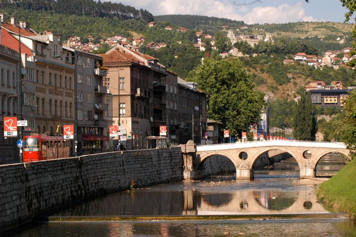 252508 974479553227 7171885 N